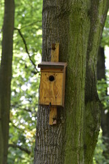 the birdhouse in the city park