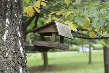 the birdhouse in the city park
