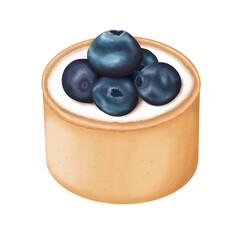 Blueberry mini tart illustration white background isolated dessert drawing idea