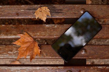 cell phone on a wooden bench outdoors with autumn leaves beside it
