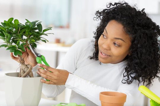 a woman working with a bonsai