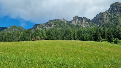 Alm in Alpbach in Tirol
