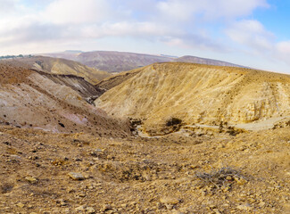 Landscape of Nahal Havarim, near Sde Boker, the Negev Desert