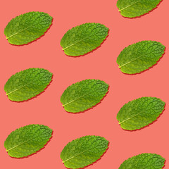 Seamless pattern of mint leaves on pink