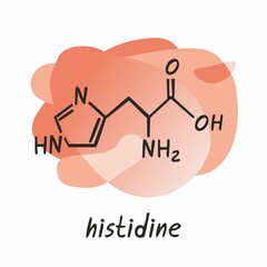 Chemical formula of the amino acid histidine is isolated on a grey abstract background. Symbol of an organic compound. Structure of an interchangeable amino acid. Cartoon flat vector illustration.