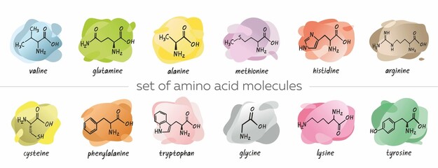 Set of chemical formula of the amino acids is isolated on colorful abstract background. Symbols collection of organic compound. Structure of an interchangeable amino acid. Cartoon vector illustration.