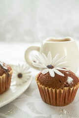 homemade muffins served for breakfast or dessert, cupcakes on light white-grey background. 