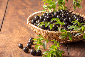 Jabuticaba, beautiful jabuticabas that have just been harvested and placed inside a straw basket with branches and leaves on rustic wood, selective focus.