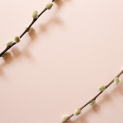 Dry branch frame on pink background. top view, copy space