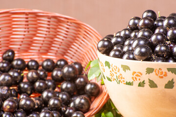 Jabuticaba, Jabuticabas freshly harvested in a bowl and baskets arranged on a straw mat, selective focus.