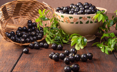 Jabuticaba, Jabuticabas freshly harvested in pots and baskets arranged on rustic wood, selective focus.