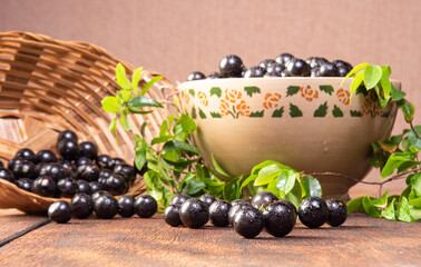Jabuticaba, Jabuticabas freshly harvested in pots and baskets arranged on rustic wood, selective focus.