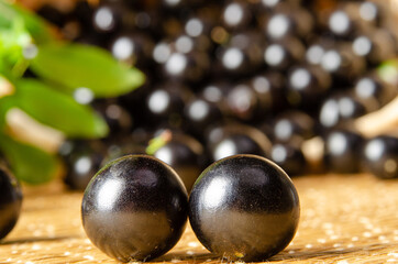 Jabuticaba, Jabuticabas freshly harvested and not yet washed in details on a straw mat, selective focus.