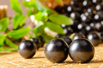 Jabuticaba, Jabuticabas freshly harvested and not yet washed in details on a straw mat, selective focus.