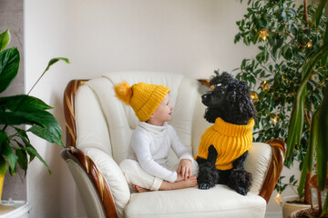 Cute caucasian child girl and a black poodle dog in a cozy yellow knitted hat and a dog sweater....