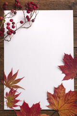 Autumn composition. Frame made of dried leaves on white background. Autumn, fall concept. Flat lay, top view, copy space