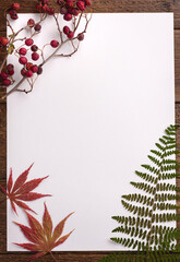 Autumn composition. Frame made of dried leaves on white background. Autumn, fall concept. Flat lay, top view, copy space