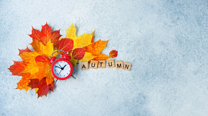 alarm clock and autumn maple leaves on grey background. autumn concept. symbol of fall season. flat...