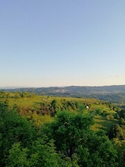 Fototapeta premium landscape with trees