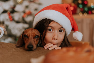 little girl in a Santa hat and a dwarf dachshund want to eat a plate of pastries and a Christmas...