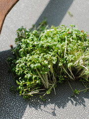 Micro green
