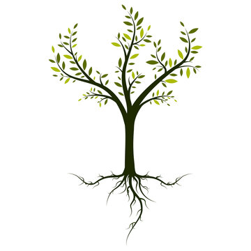 Tree vector isolated on gray background. Green tree for web site, poster, placard and wallpaper. Vector illustration
