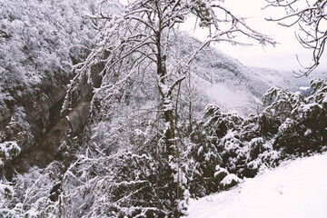 Fototapeta na wymiar Snowy winter landscape in Jura mountains, France. Seasonal weather background.