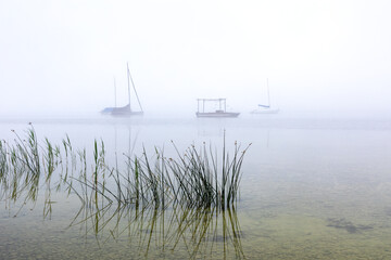 Nebliger Sommermorgen am Ammersee