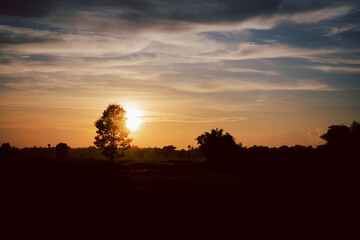 Fototapeta na wymiar Sunset with tree nature background.