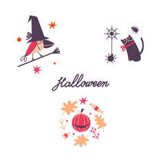 Vector Halloween arrangements. A crow on a broom, a dark cat with a spider and a pumpkin-lantern with autumn leaves. Suitable for Halloween cards, paper and others