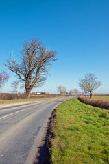 Fototapeta na wymiar Springtime landscape in the UK countryside.
