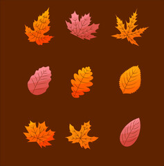 Fototapeta na wymiar autumn leaves vector