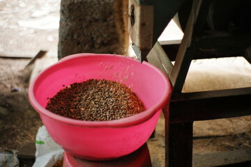 coffee bean grinding process. separate the coffee husk from the beans using traditional tools. home industry coffee making