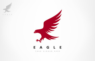 Eagle head logo bird vector. Animal design.