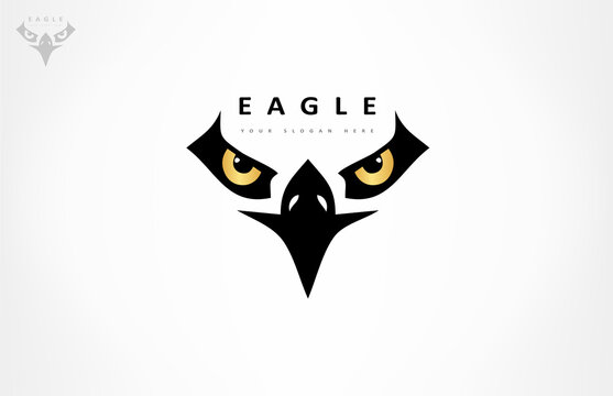 Eagle head logo bird vector. Animal design.