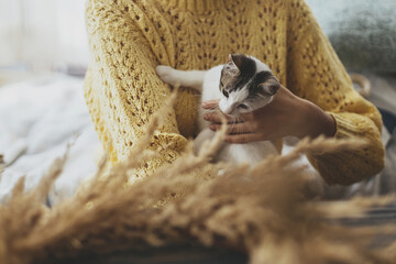 Woman in yellow sweater holding cute little kitten and making together stylish boho autumn wreath...