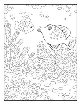 Coloring Book Pages for Kids. Coloring book for children. Mermaids. Sea Creatures. Sea Animals. Ocean Animals.