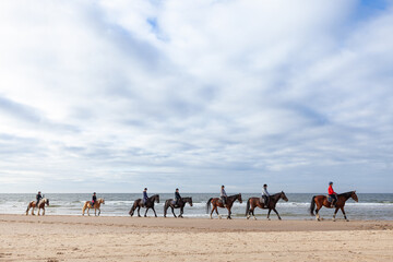 Reiten am Strand in Holland