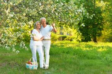 beautiful caucasian senior couple in the park