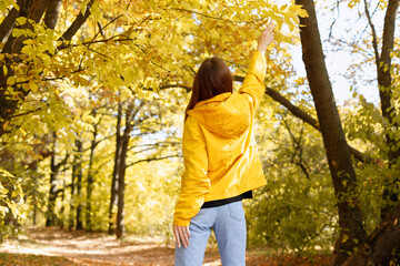 the woman reaches for the autumn leaves with her back. free space for text.