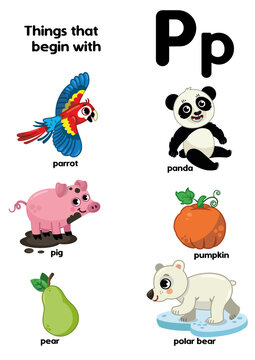 Things that start with the letter P. Educational, vector illustration for children.