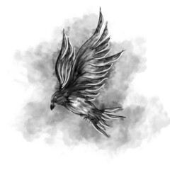 A black and white illustration of a raven