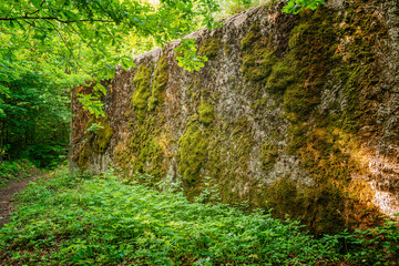 Old bunker, relict of The Second World War. Wilczy szaniec. 