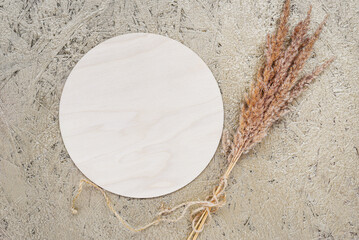 Wooden empty round sign template with copy space and fall decor of dried fluffy reeds pampas grass...