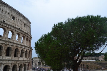 Naklejka premium Colosseo