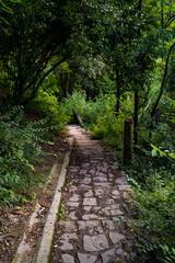 Obraz premium stone path in the middle of the forest with wooden railing, Catalonia, Spain