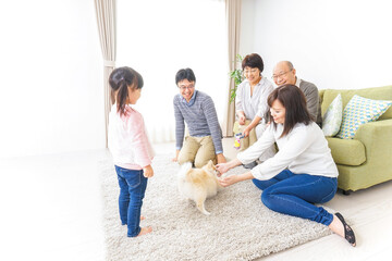 家族で犬と遊ぶ幸せな三世代ファミリー