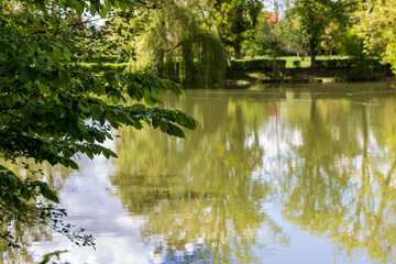 Reflection of trees in the water of lake Schachtsee in Bad Friedrichshall Jagstfeld, Germany in summer on a sunny day. Tranquil scene at peaceful lake