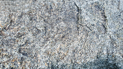 Stone background with branches of plants. Branches with green leaves. Mound of granite.