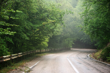 Fototapeta na wymiar Asphalt road in foggy forest in rain